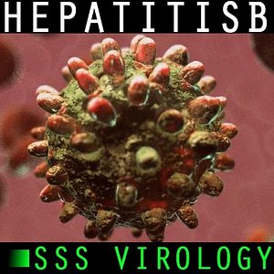 3d hepatitis b virus model