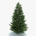 3d tree plant