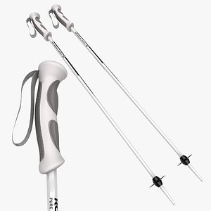 Ski Sticks