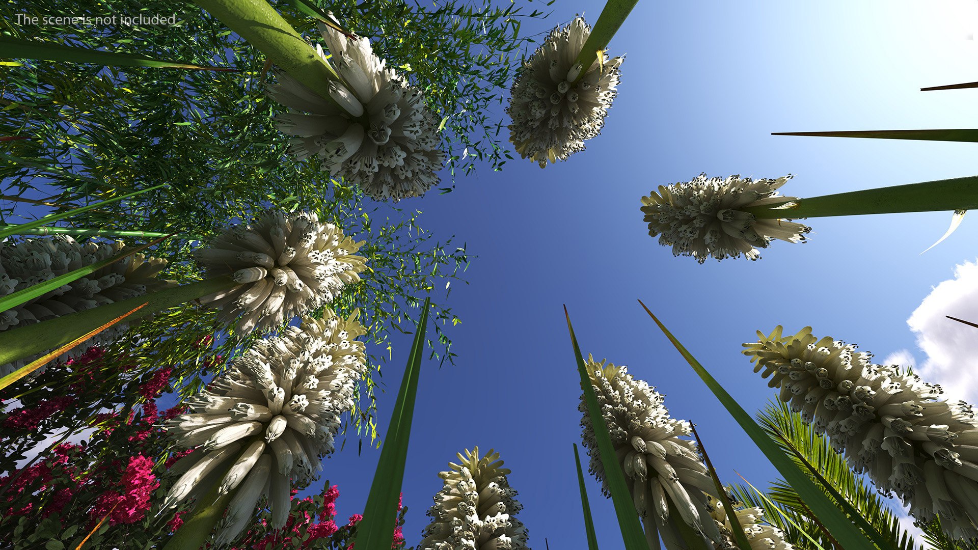 3D Kniphofia Little Maid model https://p.turbosquid.com/ts-thumb/eA/O1viwS/2h/kniphofialittlemaid3dsmodel008/jpg/1701090181/1920x1080/fit_q87/81dc0d6ea28712c1a86ff62922b2acb206233c28/kniphofialittlemaid3dsmodel008.jpg