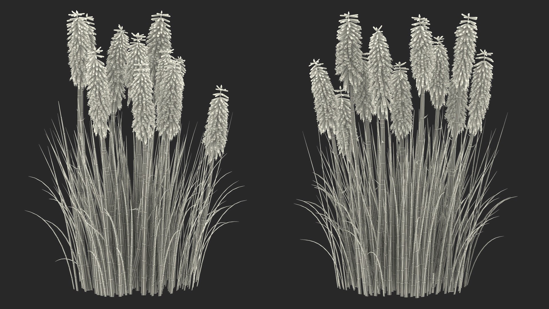 3D Kniphofia Little Maid model https://p.turbosquid.com/ts-thumb/eA/O1viwS/4A/kniphofialittlemaid3dsmodel028/jpg/1701090272/1920x1080/fit_q87/85569528884c86acbf8df0bd27c12aba370cbe4c/kniphofialittlemaid3dsmodel028.jpg