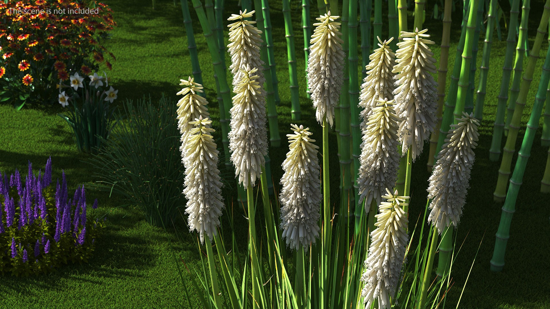 3D Kniphofia Little Maid model https://p.turbosquid.com/ts-thumb/eA/O1viwS/4k/kniphofialittlemaid3dsmodel004/jpg/1701090162/1920x1080/fit_q87/f3cb7374521339646933a425490d91ff817ff011/kniphofialittlemaid3dsmodel004.jpg