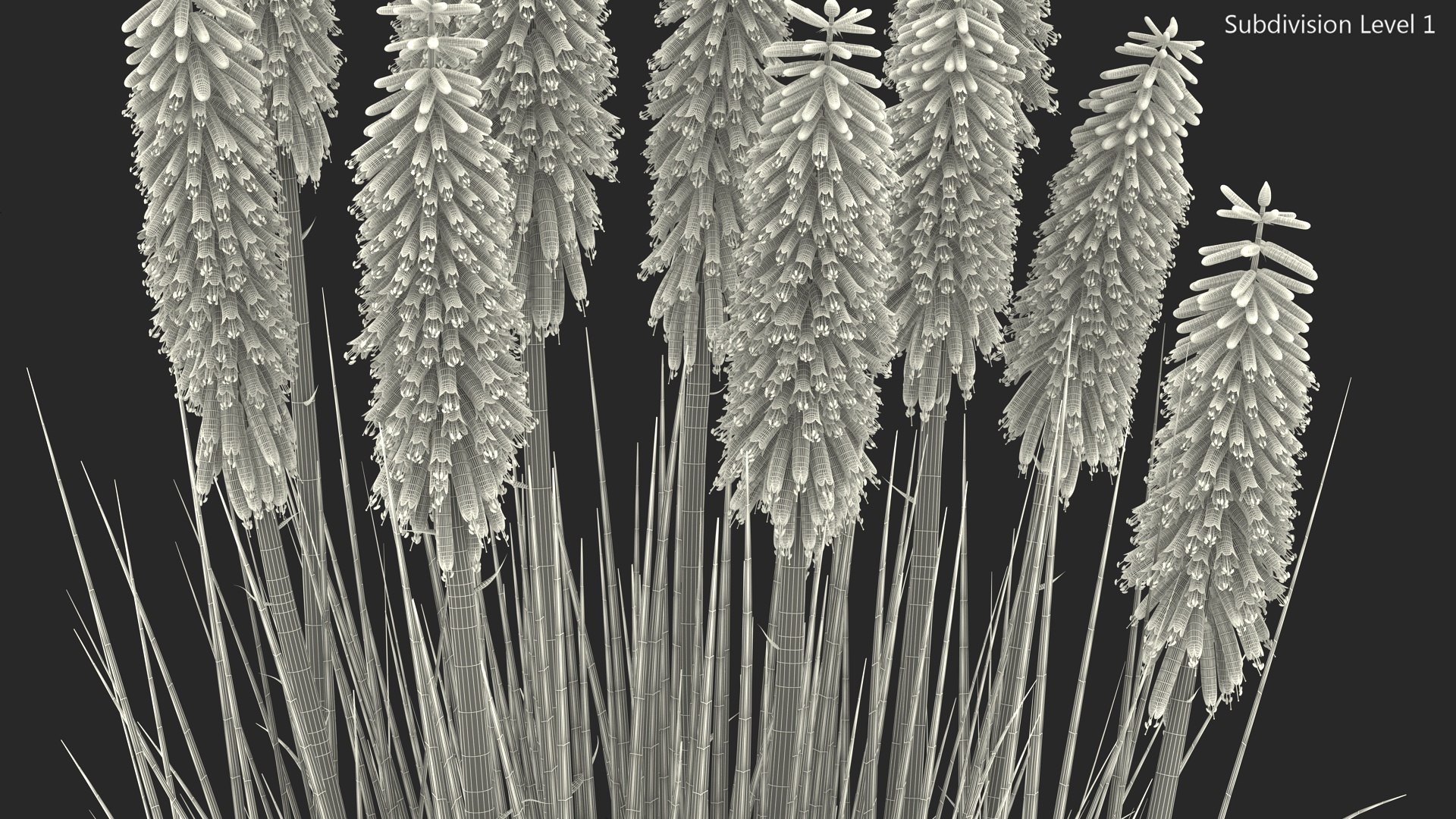 3D Kniphofia Little Maid model https://p.turbosquid.com/ts-thumb/eA/O1viwS/5s/kniphofialittlemaid3dsmodel020/jpg/1701090236/1920x1080/fit_q87/82fa51d6db1affc318200041f44939126c705674/kniphofialittlemaid3dsmodel020.jpg