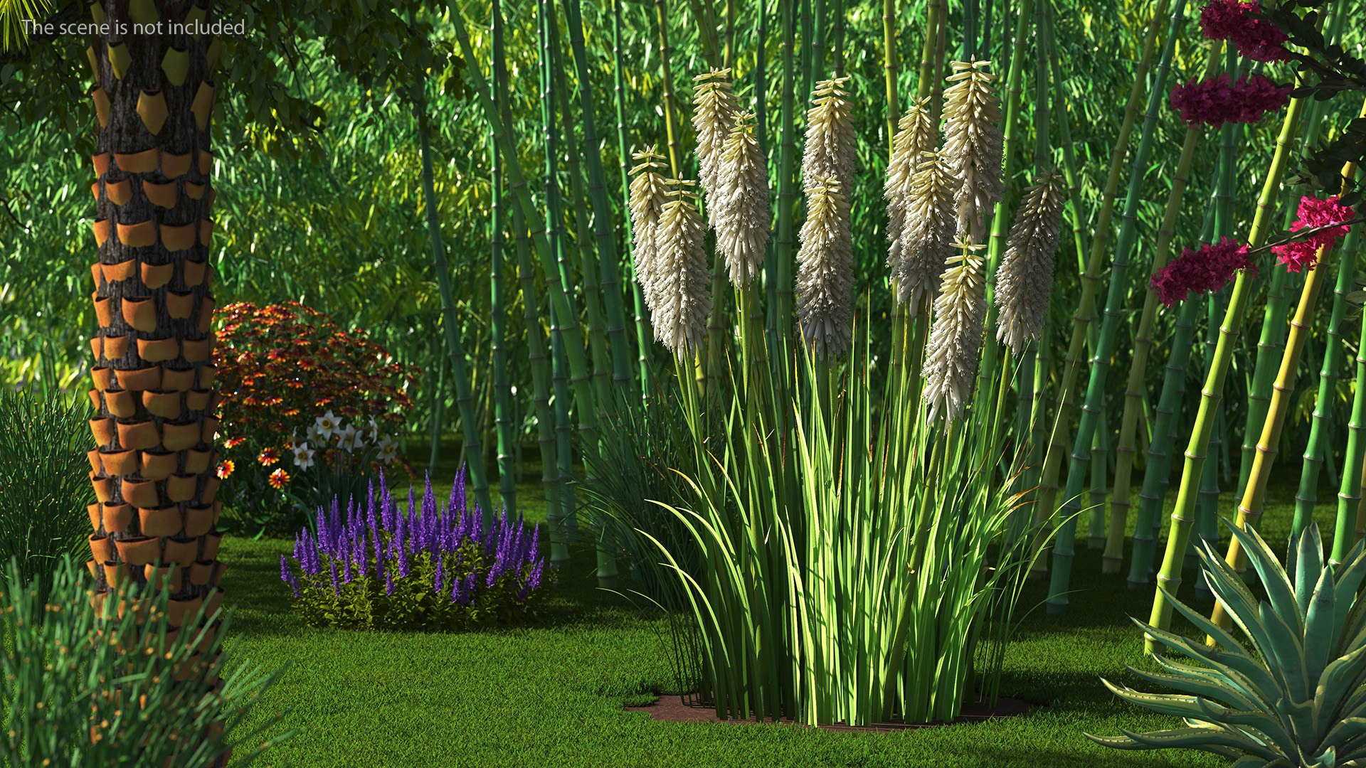 3D Kniphofia Little Maid model https://p.turbosquid.com/ts-thumb/eA/O1viwS/GA/kniphofialittlemaid3dsmodel002/jpg/1701090153/1920x1080/fit_q87/cfcafb5f62fa799b18cf81c600fed97206aa63be/kniphofialittlemaid3dsmodel002.jpg
