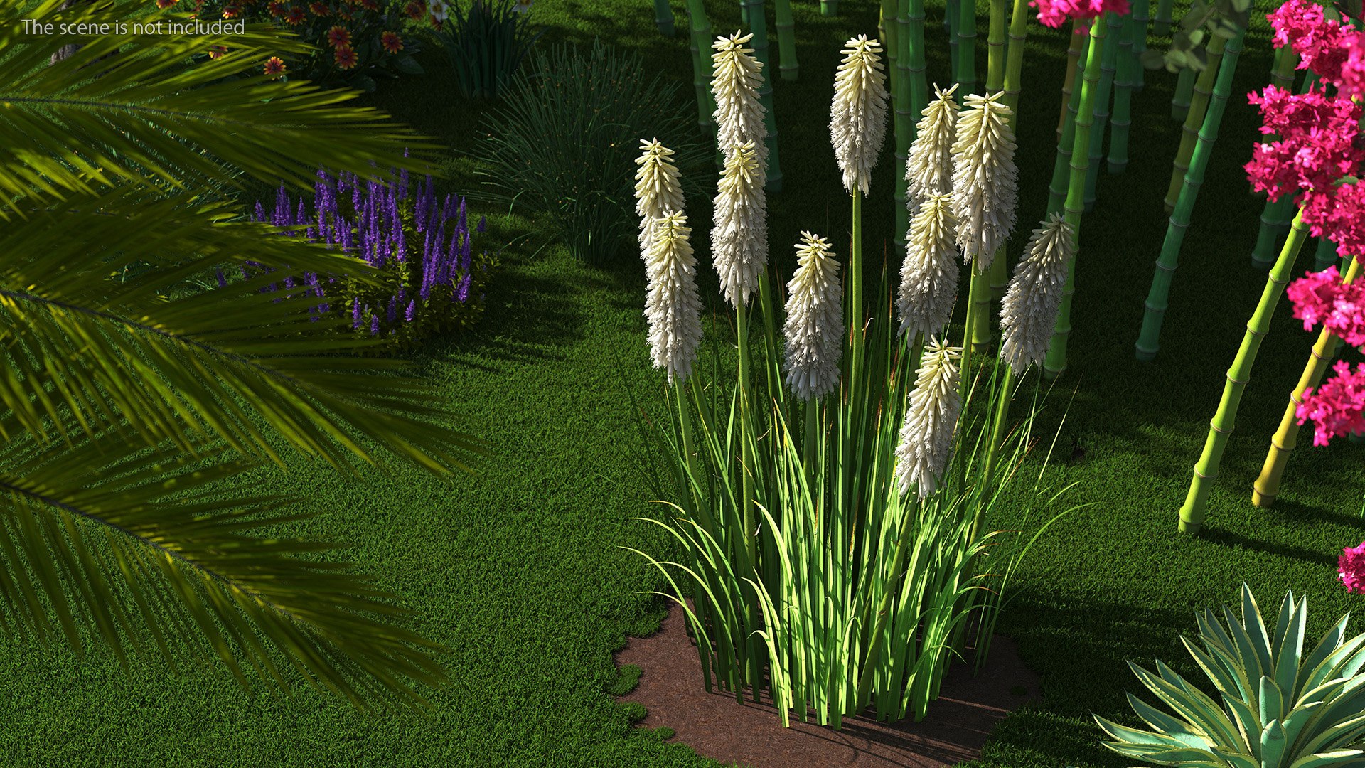 3D Kniphofia Little Maid model https://p.turbosquid.com/ts-thumb/eA/O1viwS/MD/kniphofialittlemaid3dsmodel003/jpg/1701090158/1920x1080/fit_q87/864809f9bd14558f3f6460cb8803fd06910a90a4/kniphofialittlemaid3dsmodel003.jpg