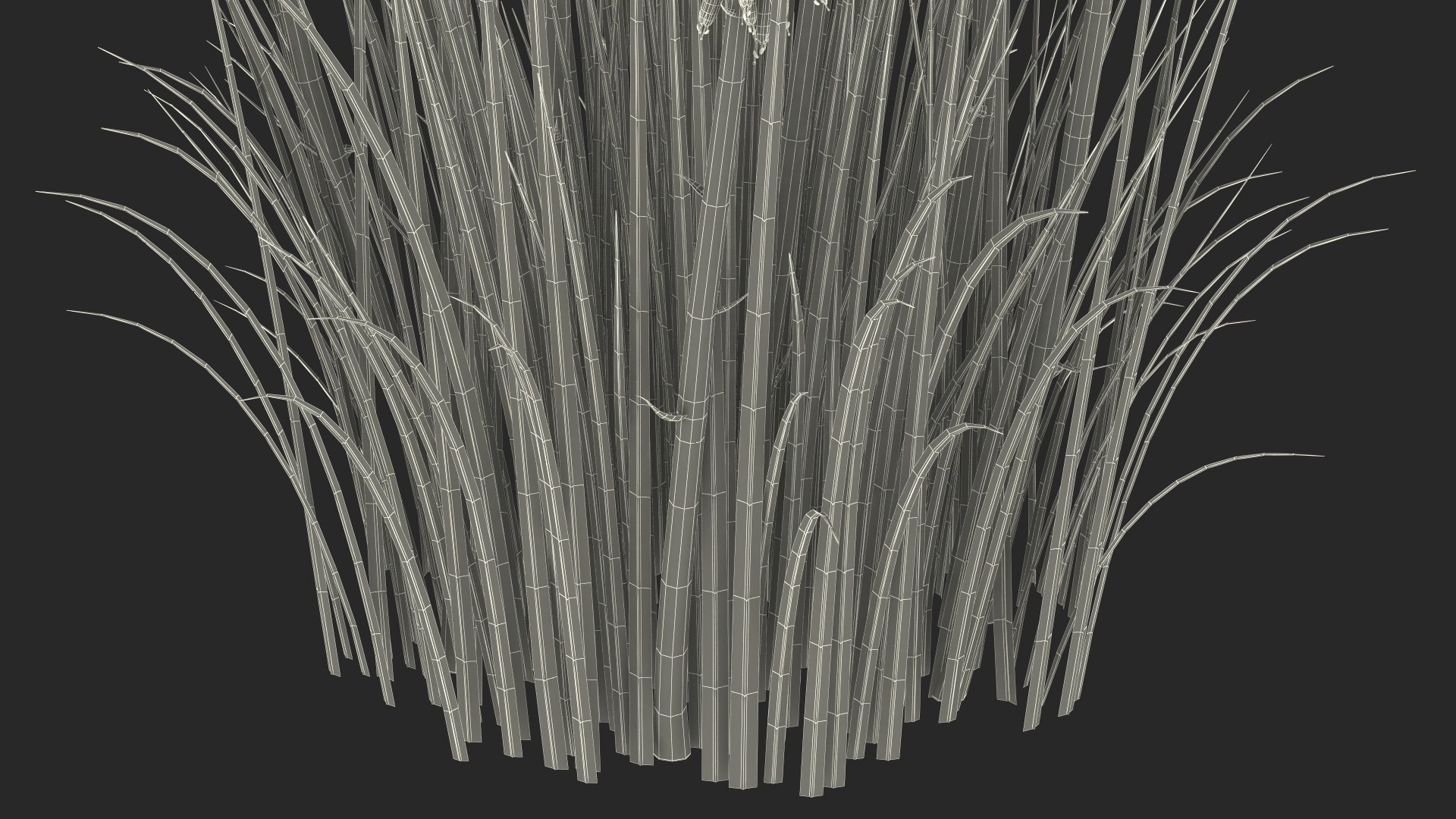 3D Kniphofia Little Maid model https://p.turbosquid.com/ts-thumb/eA/O1viwS/Qy/kniphofialittlemaid3dsmodel032/jpg/1701090288/1920x1080/fit_q87/2eb9d4b9b73bff1ade5188ec3dc0a35cdd76dafa/kniphofialittlemaid3dsmodel032.jpg