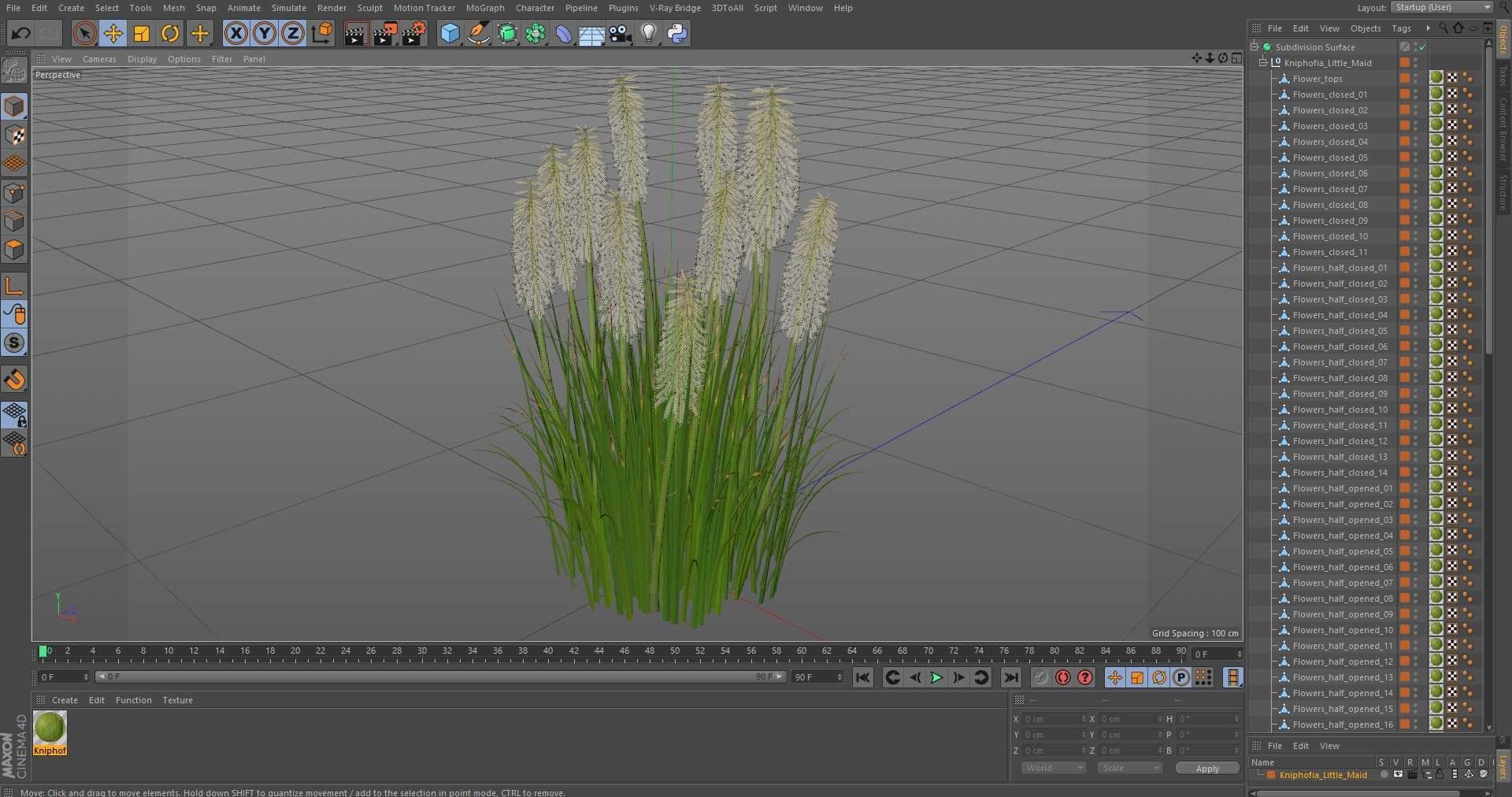 3D Kniphofia Little Maid model https://p.turbosquid.com/ts-thumb/eA/O1viwS/Tw/kniphofialittlemaid3dsmodel026/jpg/1701090262/1920x1080/fit_q87/5d11255578bcce8b61d1b5816251576c1d6584d1/kniphofialittlemaid3dsmodel026.jpg