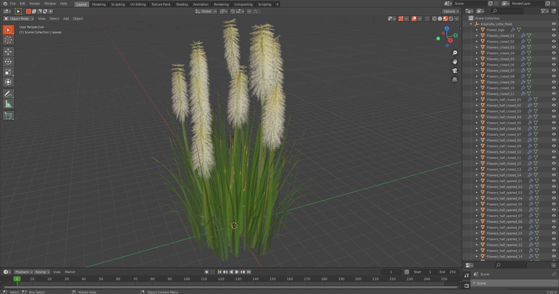 3D Kniphofia Little Maid model https://p.turbosquid.com/ts-thumb/eA/O1viwS/hW/kniphofialittlemaid3dsmodel024/jpg/1701090254/1920x1080/fit_q87/c9adfd73c7a44e65b6791f7d3024265dc1bdbe2f/kniphofialittlemaid3dsmodel024.jpg
