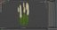 Kniphofia Little Maid