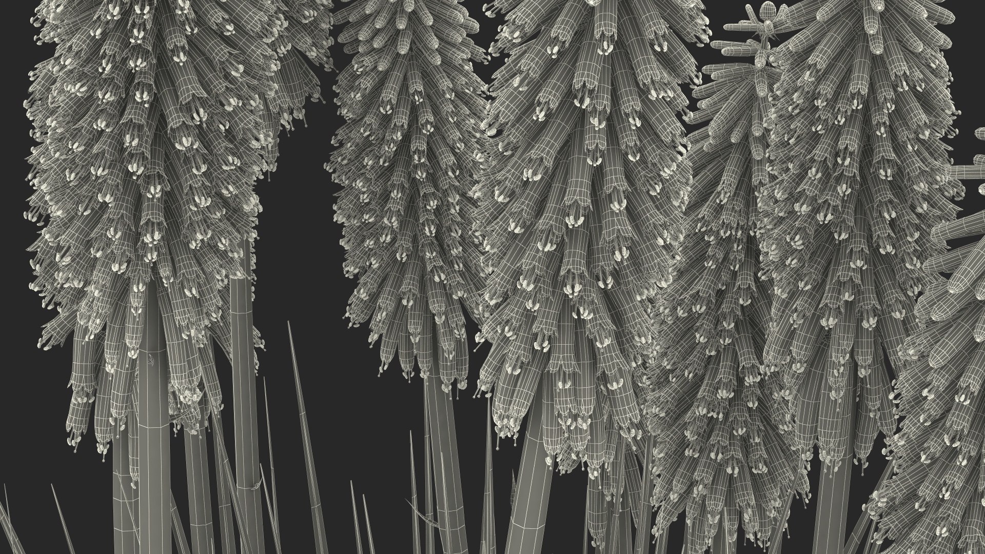 3D Kniphofia Little Maid model https://p.turbosquid.com/ts-thumb/eA/O1viwS/m5/kniphofialittlemaid3dsmodel031/jpg/1701090284/1920x1080/fit_q87/b44bae7ebf80b2cc1ec4e3c62c61894a6b889ce6/kniphofialittlemaid3dsmodel031.jpg