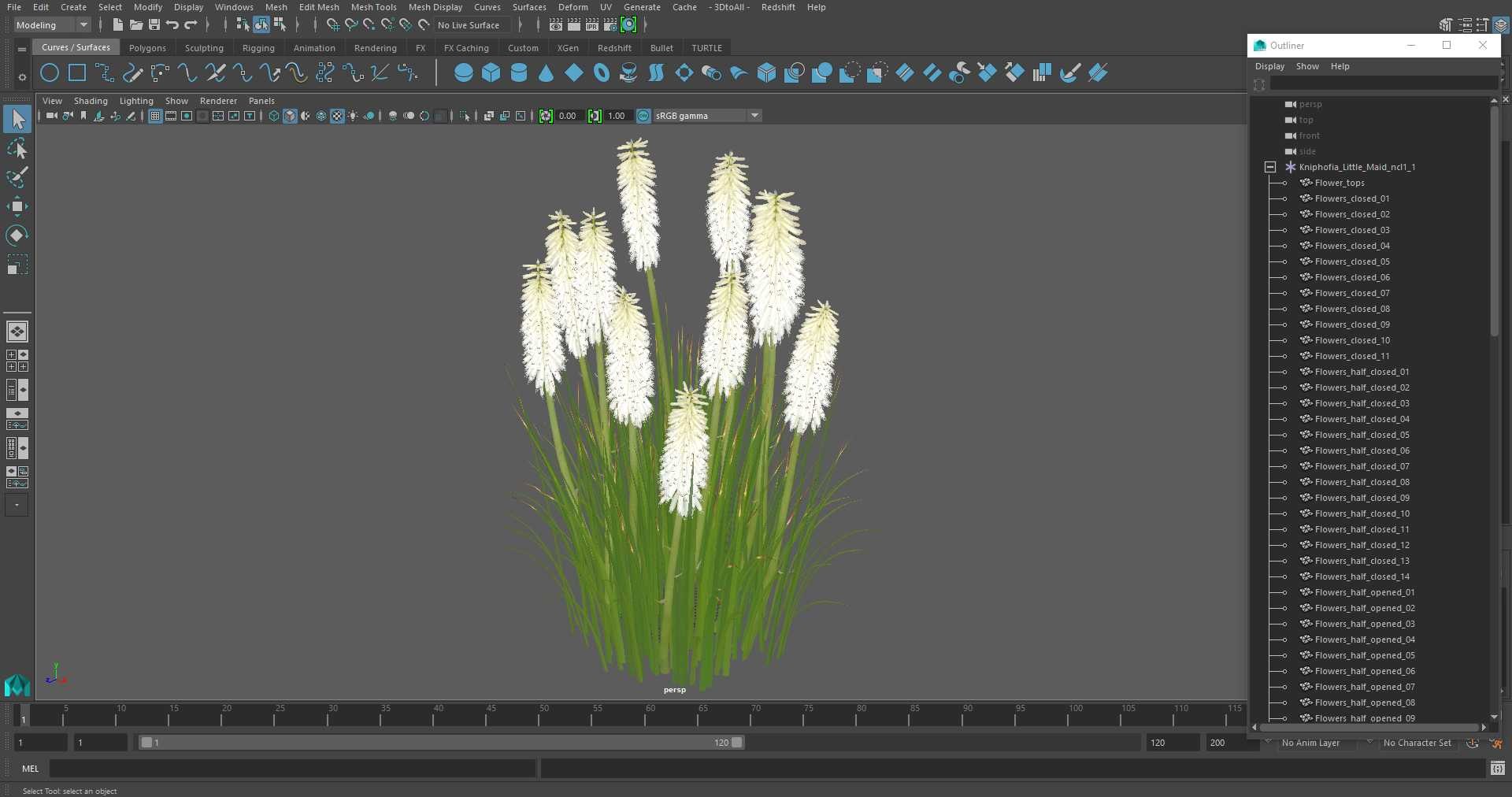 3D Kniphofia Little Maid model https://p.turbosquid.com/ts-thumb/eA/O1viwS/mR/kniphofialittlemaid3dsmodel027/jpg/1701090267/1920x1080/fit_q87/5a03a8702494c4bf22d579cb1b5370a04eb461b9/kniphofialittlemaid3dsmodel027.jpg