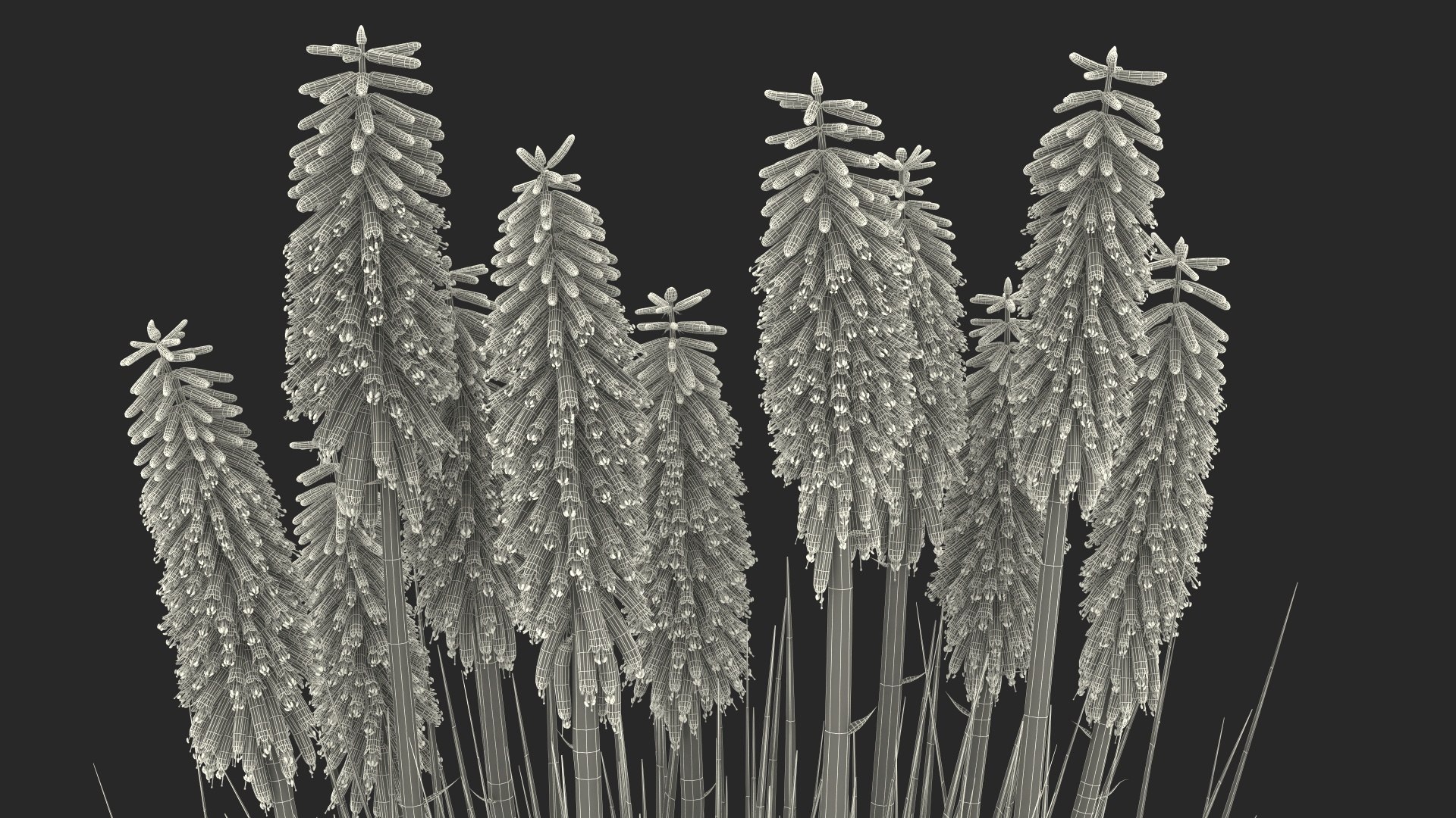 3D Kniphofia Little Maid model https://p.turbosquid.com/ts-thumb/eA/O1viwS/sT/kniphofialittlemaid3dsmodel030/jpg/1701090280/1920x1080/fit_q87/5093ecfadb64ecb0a3ca9de90b74d7cf9ed63f46/kniphofialittlemaid3dsmodel030.jpg