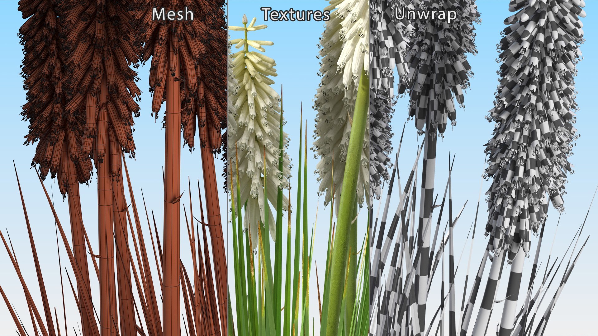 3D Kniphofia Little Maid model https://p.turbosquid.com/ts-thumb/eA/O1viwS/t5/kniphofialittlemaid3dsmodel018/jpg/1701090228/1920x1080/fit_q87/eff2967e9417818cfd459da5795f446ea71c9972/kniphofialittlemaid3dsmodel018.jpg