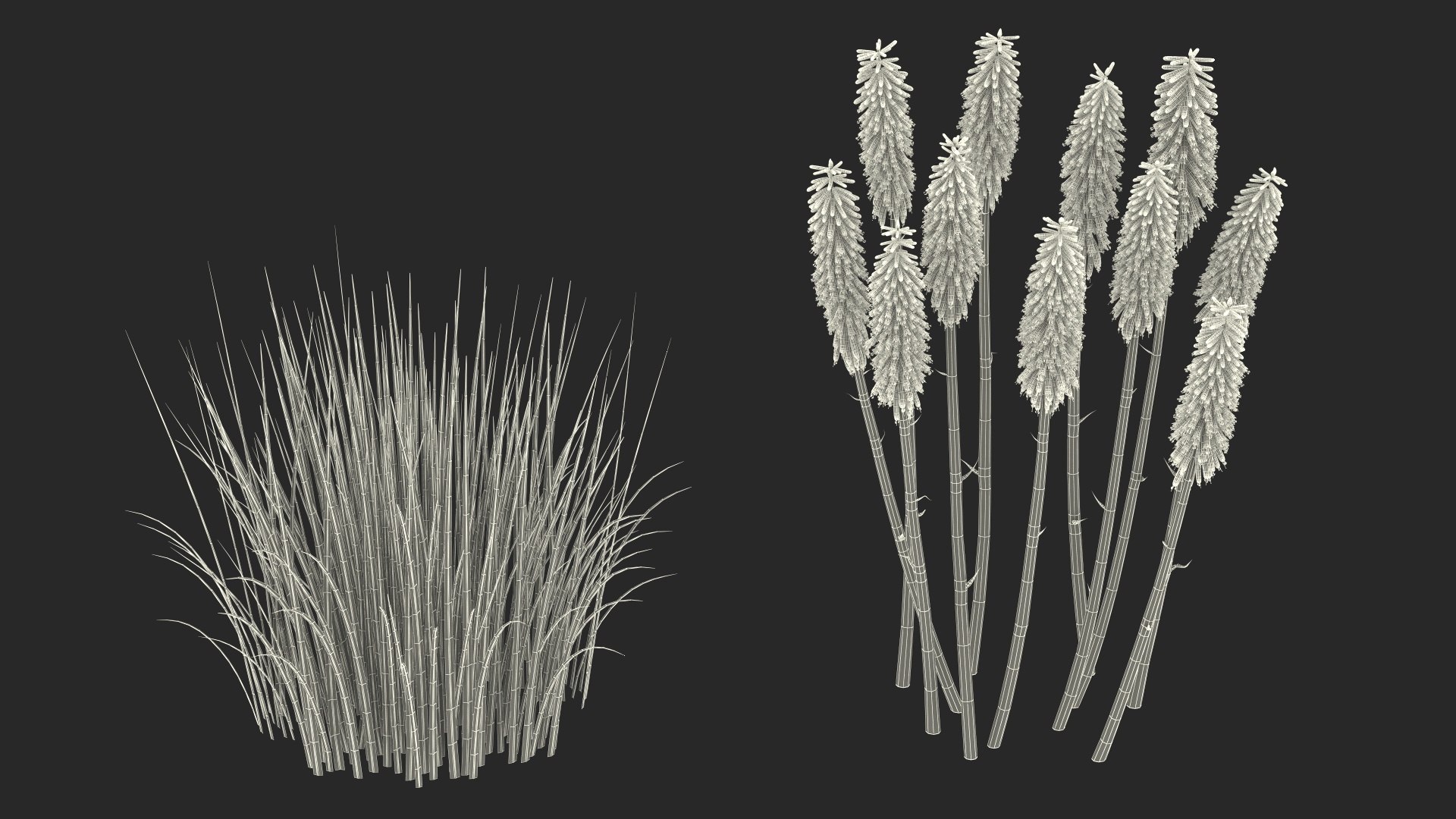 3D Kniphofia Little Maid model https://p.turbosquid.com/ts-thumb/eA/O1viwS/tU/kniphofialittlemaid3dsmodel033/jpg/1701090294/1920x1080/fit_q87/988f2782ccb4de1871229c9c099044e88ec04a72/kniphofialittlemaid3dsmodel033.jpg