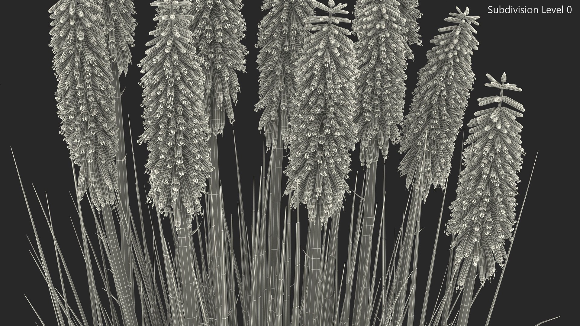 3D Kniphofia Little Maid model https://p.turbosquid.com/ts-thumb/eA/O1viwS/zj/kniphofialittlemaid3dsmodel019/jpg/1701090232/1920x1080/fit_q87/b322c1d31c442774443362fee9903f7cde045897/kniphofialittlemaid3dsmodel019.jpg