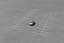 road universal asphalt 3d model