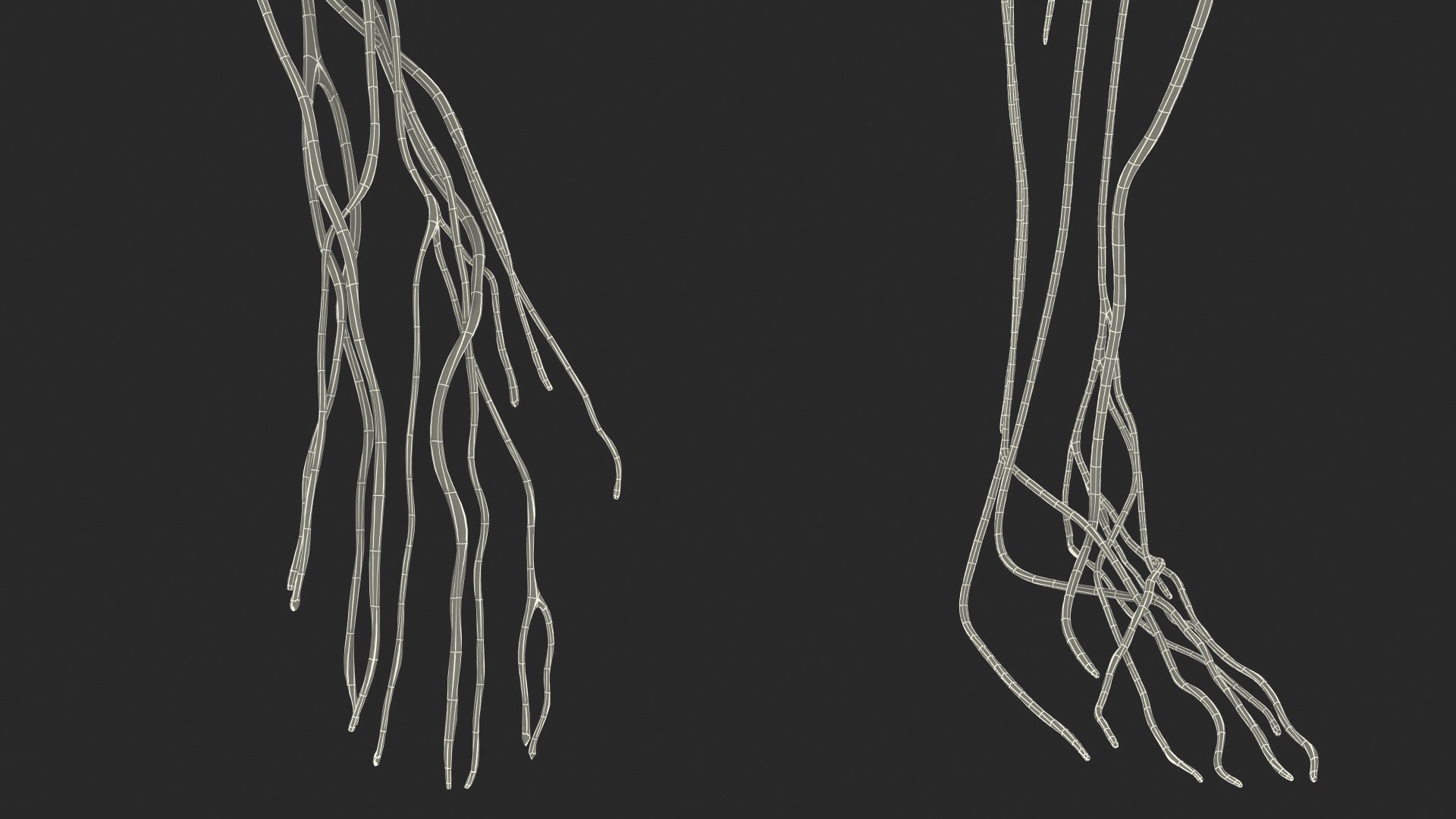 3D male nervous body https://p.turbosquid.com/ts-thumb/eA/RumJDt/o88SZrz7/malenervoussystemfullbodyc4dmodel017/jpg/1570642081/1920x1080/fit_q87/fd1fb6ea0e02be8dbdbdaf416e8905cdf1bda5b2/malenervoussystemfullbodyc4dmodel017.jpg