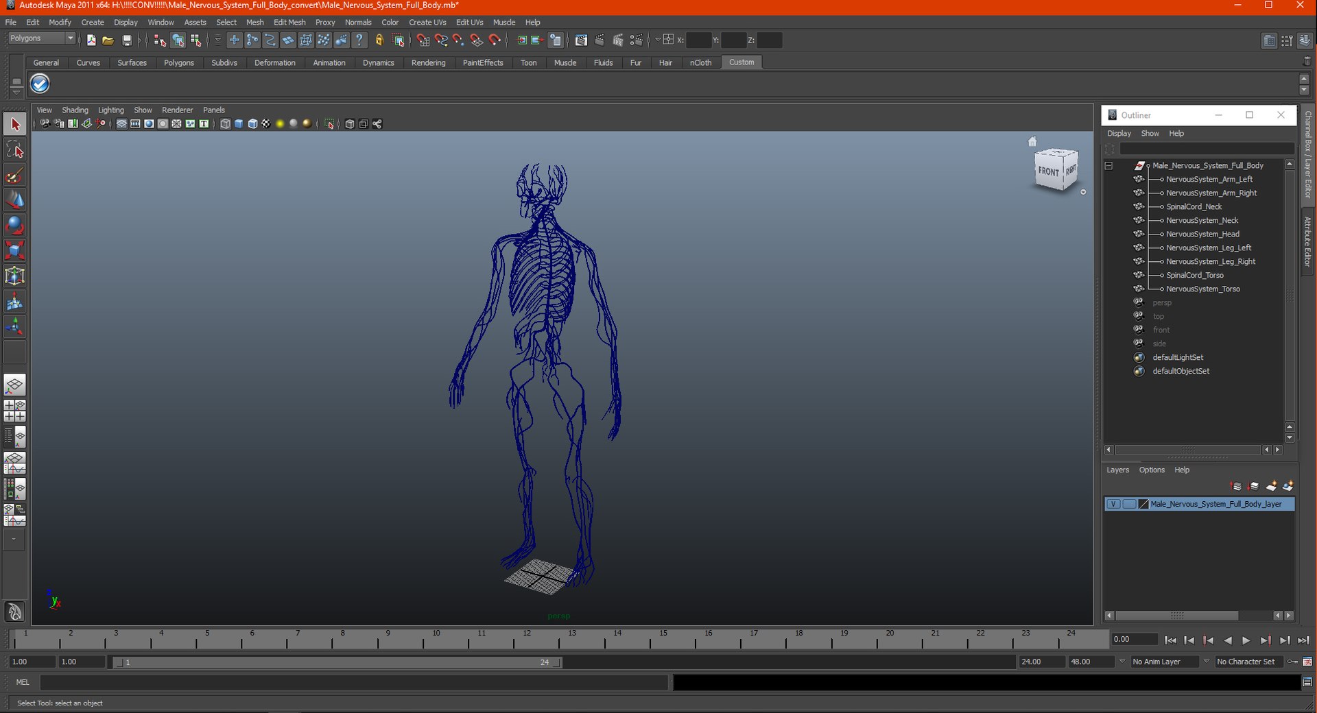3D male nervous body https://p.turbosquid.com/ts-thumb/eA/RumJDt/oMJFaJtU/malenervoussystemfullbodyc4dmodel013/jpg/1570642063/1920x1080/fit_q87/adaddc9b16891f6bd21c669a3a780752e4120cd0/malenervoussystemfullbodyc4dmodel013.jpg