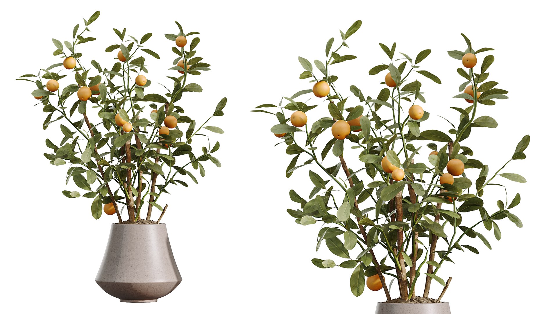 3D AV Indoor Plants Set 482 Peace Lily Banana Olive Yucca Orange model https://p.turbosquid.com/ts-thumb/eA/jINGTm/9J/04/png/1783495699/1920x1080/fit_q87/f7b5facac2c2fdc457246e7faf6bba9f1999d467/04.jpg