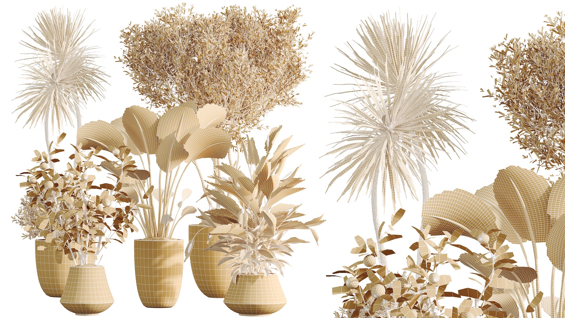 3D AV Indoor Plants Set 482 Peace Lily Banana Olive Yucca Orange model https://p.turbosquid.com/ts-thumb/eA/jINGTm/k7/07/png/1783495709/1920x1080/fit_q87/fb20a85271e9d787039cdd382f1c0acb56aa958d/07.jpg