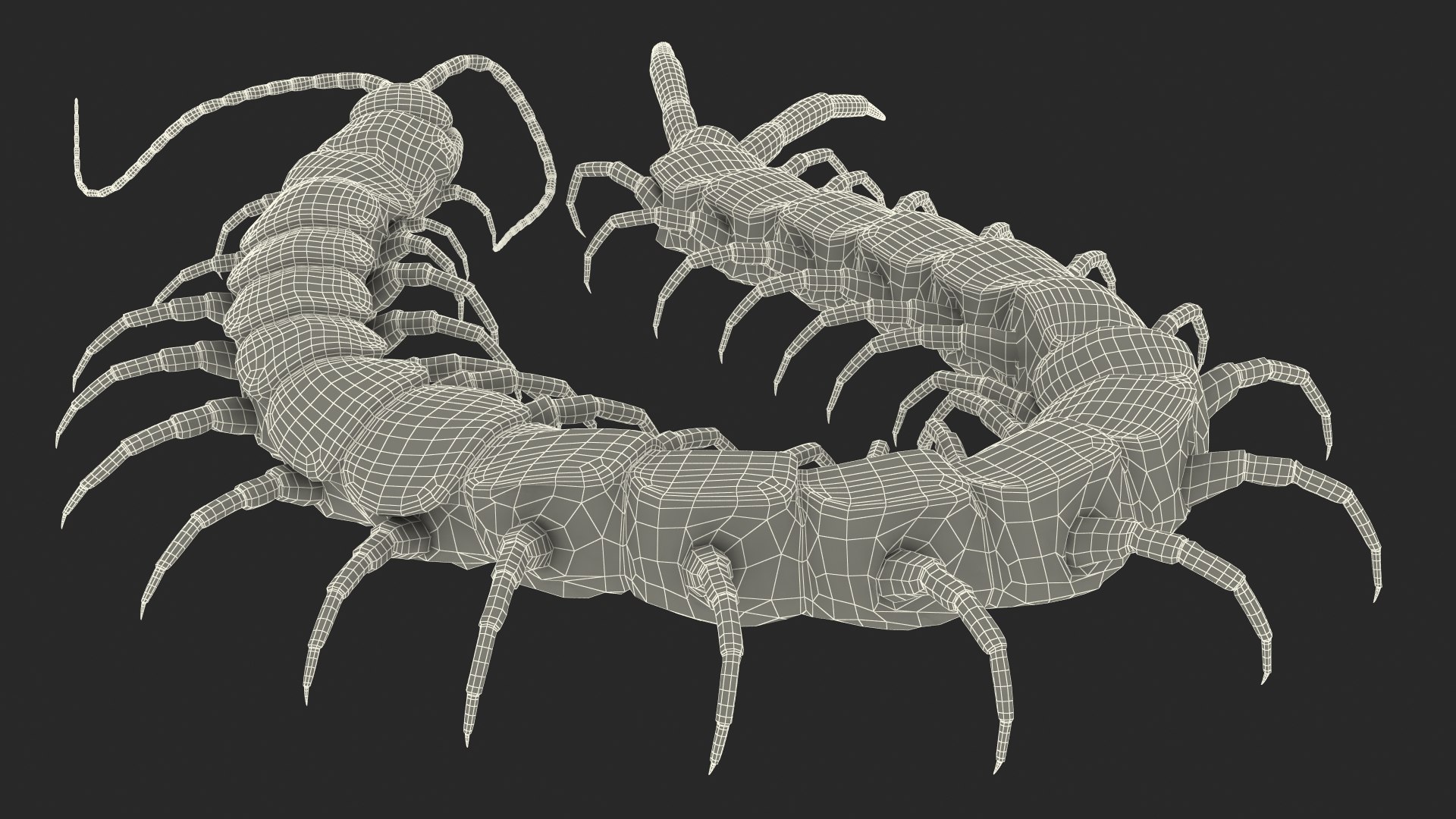 3D chinese red headed centipede https://p.turbosquid.com/ts-thumb/eA/kJVzdl/Bk1dE53a/chineseredheadedcentipedec4dmodel024/jpg/1587521879/1920x1080/fit_q87/77c3c50e6e8f7c13c8f001d58ae18f48b9ad49b6/chineseredheadedcentipedec4dmodel024.jpg