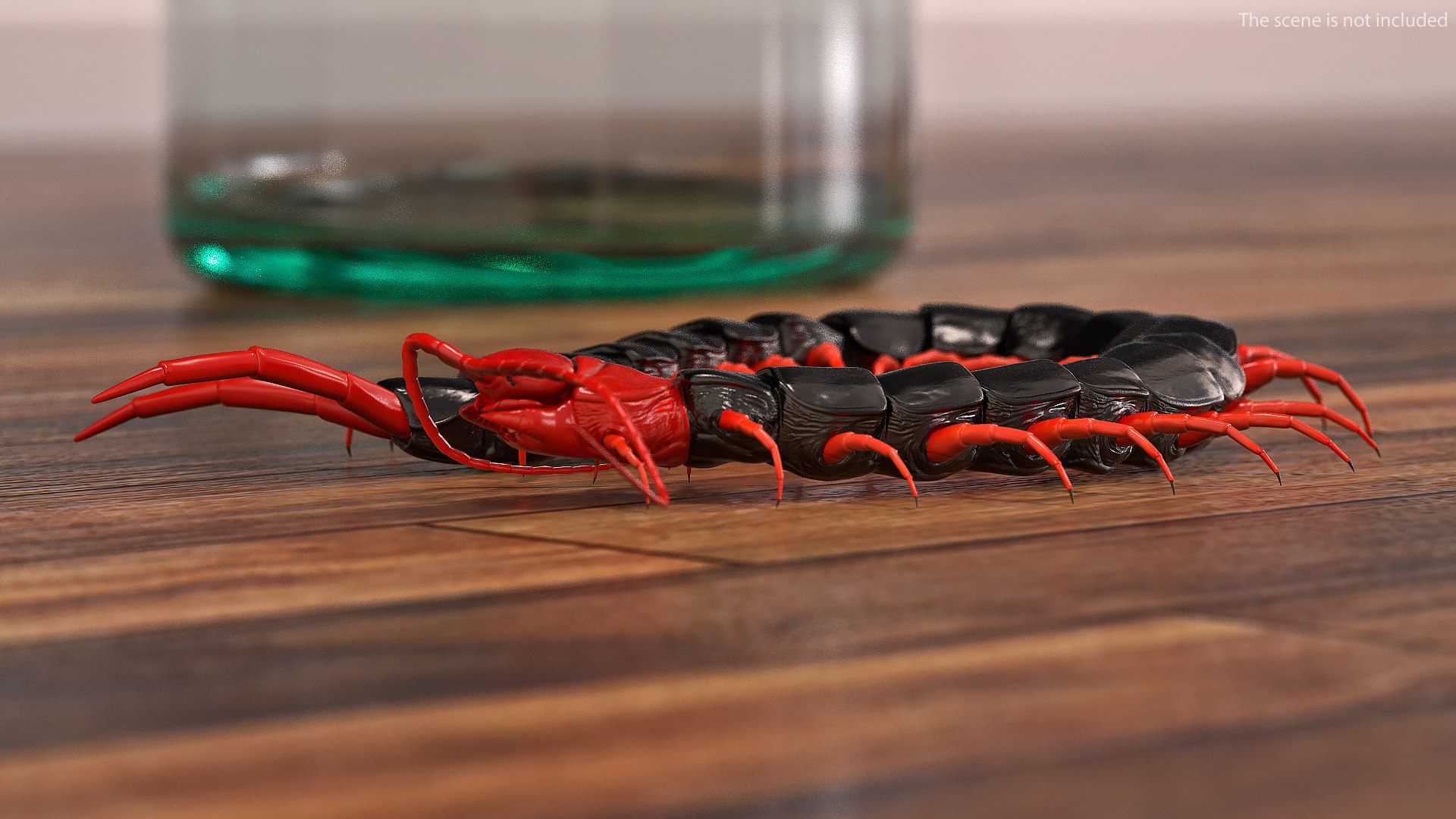3D chinese red headed centipede https://p.turbosquid.com/ts-thumb/eA/kJVzdl/FhRoT72W/chineseredheadedcentipedec4dmodel003/jpg/1587521809/1920x1080/fit_q87/a535b13fb385448d62de398b5f900a48dc1d28dc/chineseredheadedcentipedec4dmodel003.jpg