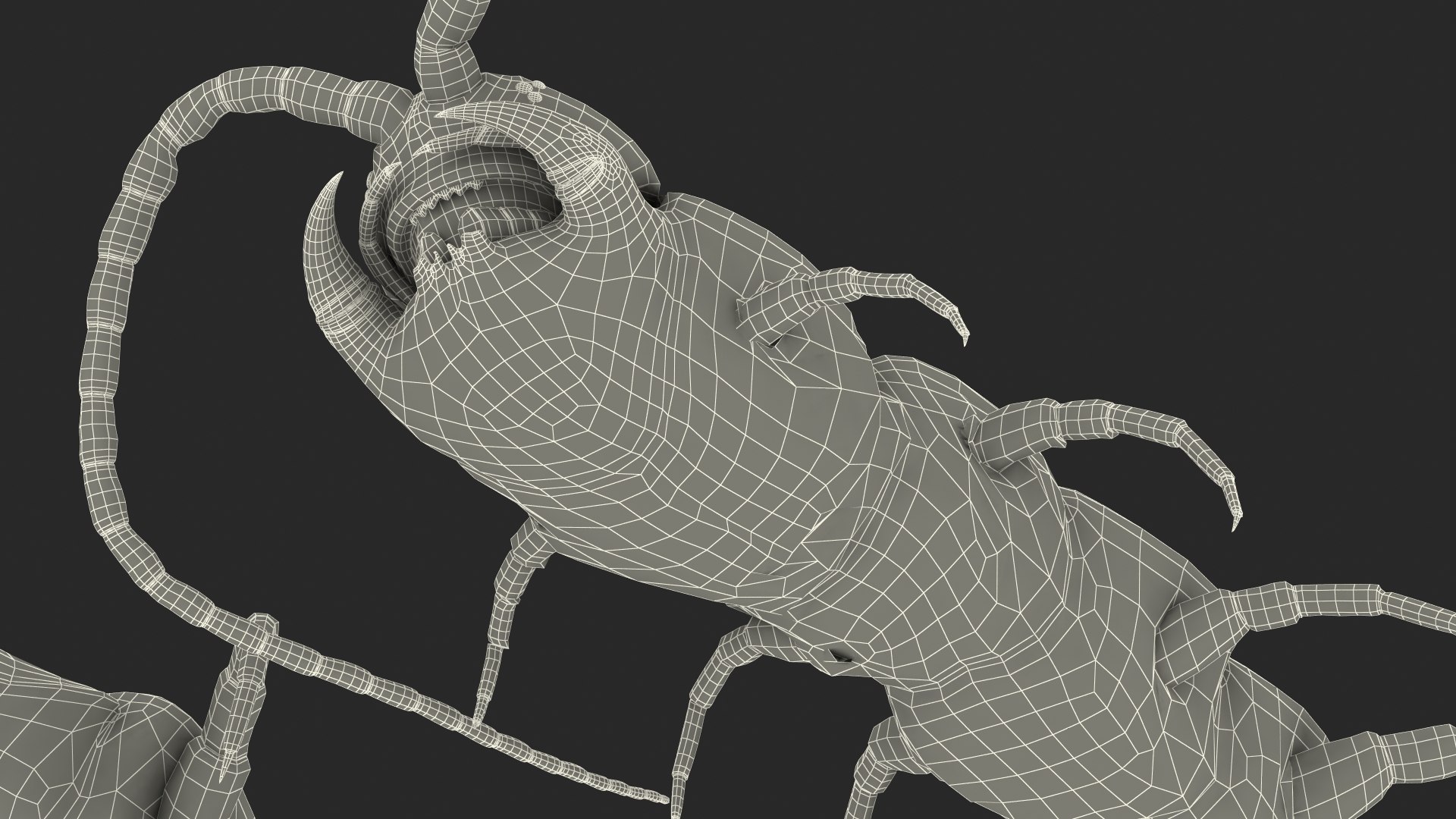 3D chinese red headed centipede https://p.turbosquid.com/ts-thumb/eA/kJVzdl/fzjEjK8Q/chineseredheadedcentipedec4dmodel026/jpg/1587521887/1920x1080/fit_q87/b5a1ef077ac0986d2061da823e97fe4ecc4519c2/chineseredheadedcentipedec4dmodel026.jpg