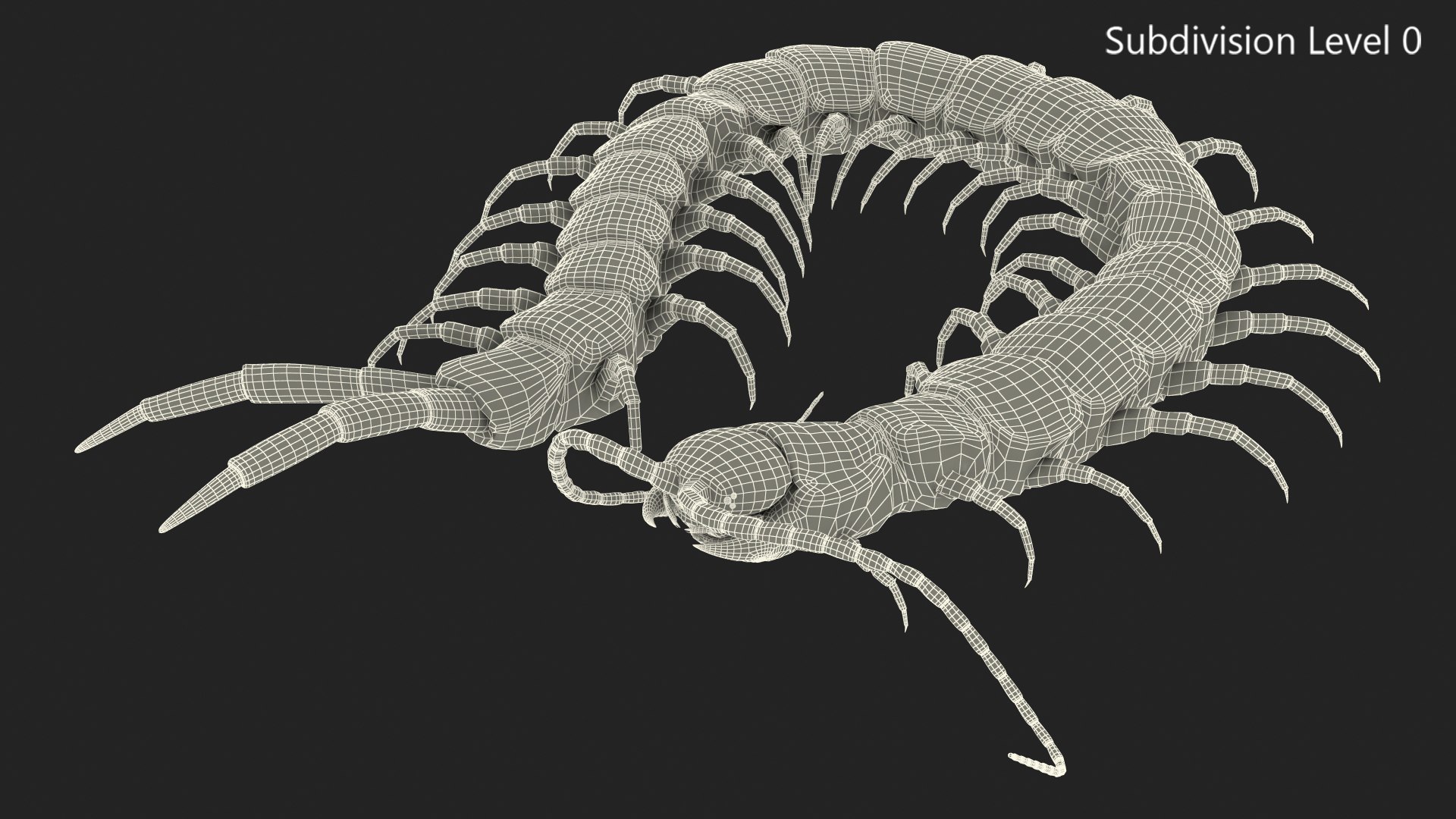 3D chinese red headed centipede https://p.turbosquid.com/ts-thumb/eA/kJVzdl/xMqdamJl/chineseredheadedcentipedec4dmodel014/jpg/1587521855/1920x1080/fit_q87/db809916891773fd41ed717fffbccfacef08fcb8/chineseredheadedcentipedec4dmodel014.jpg
