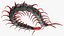 Chinese Red Headed Centipede