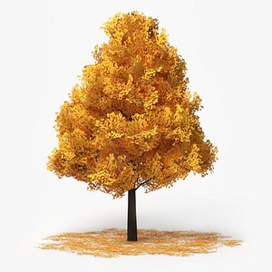 3D model Lowpoly Realistic Decorative Yellow Tree with Fallen Leaves