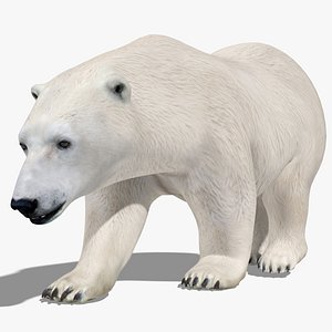 Polar Bear PRO