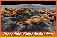 Ecoli.mb