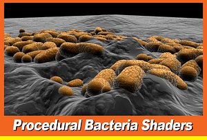 Ecoli.mb