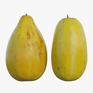 3D Korean yellow melon