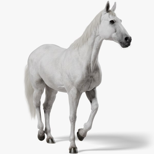 Horse 3D Models for Download | TurboSquid