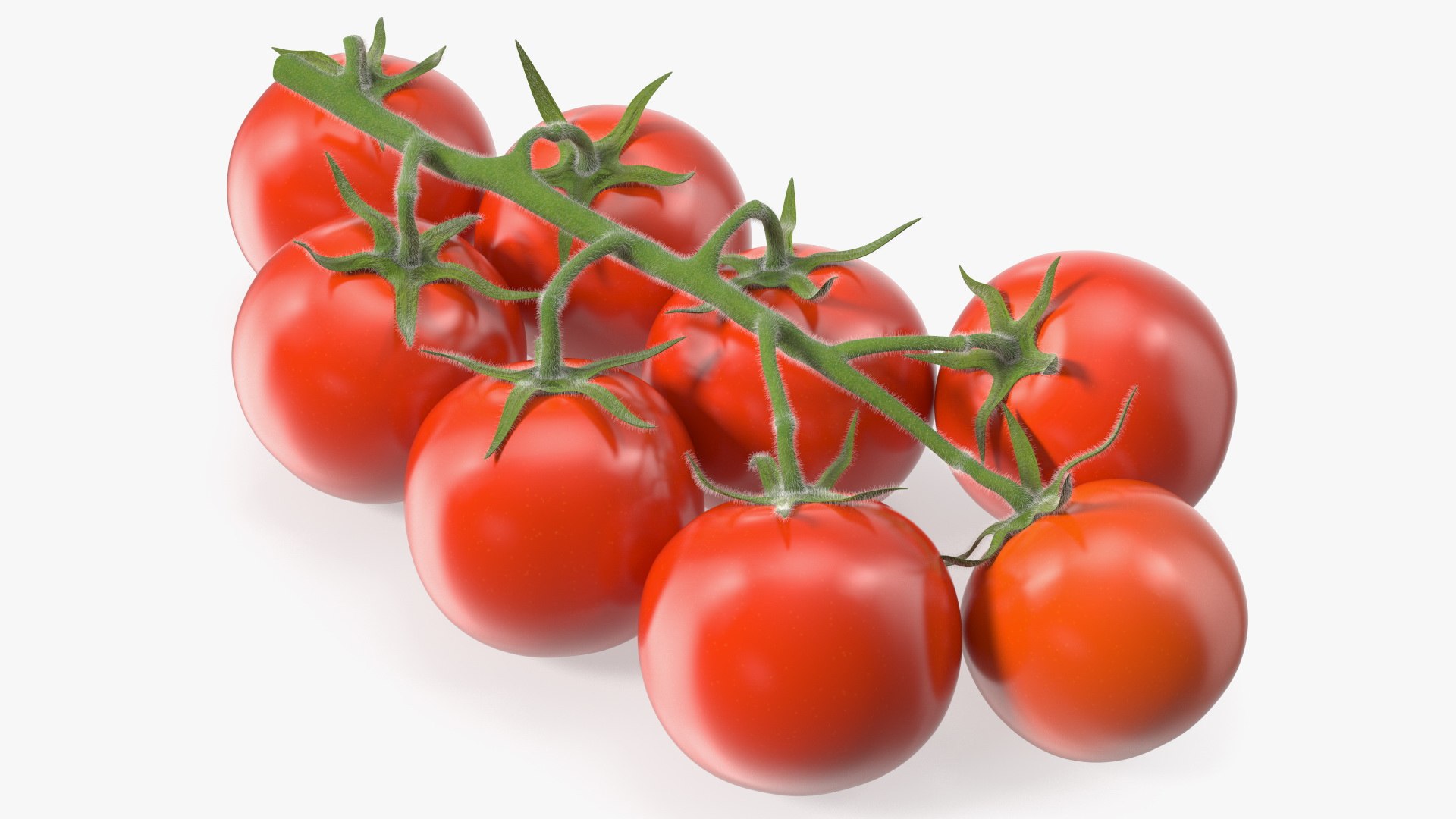 3D Fresh Cherry Tomatoes on the Vine Fur model https://p.turbosquid.com/ts-thumb/eB/6iEbtr/1n/freshcherrytomatoesonthevinefurmb3dmodel001/jpg/1640606667/1920x1080/fit_q87/c732a0a8a23e7393fb150f99ccfb5cc8e4c95e72/freshcherrytomatoesonthevinefurmb3dmodel001.jpg