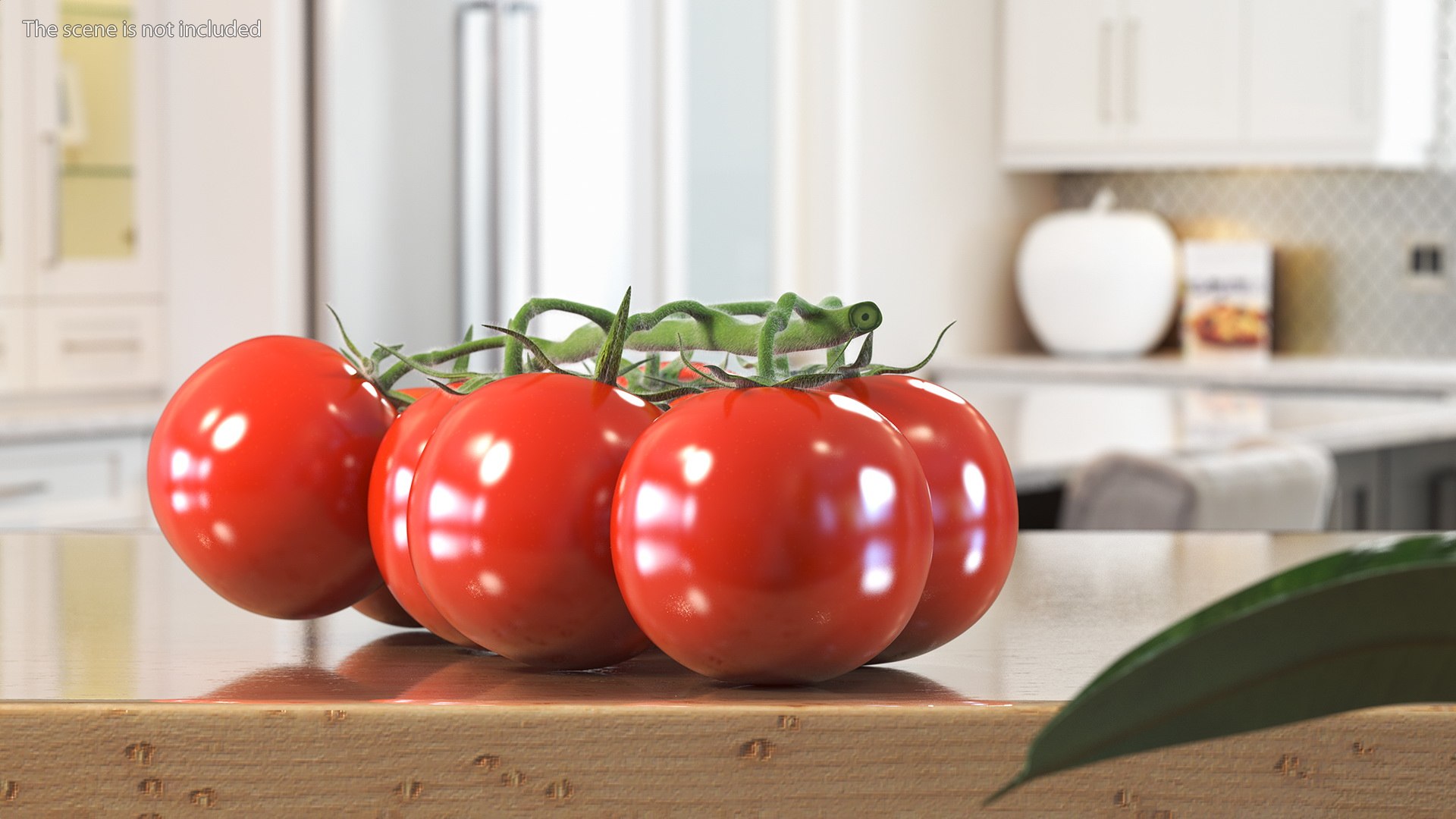 3D Fresh Cherry Tomatoes on the Vine Fur model https://p.turbosquid.com/ts-thumb/eB/6iEbtr/6u/freshcherrytomatoesonthevinefurmb3dmodel004/jpg/1640606676/1920x1080/fit_q87/50c50b7b93099001cd12454ee3b0a8a27100420a/freshcherrytomatoesonthevinefurmb3dmodel004.jpg
