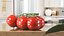 Fresh Cherry Tomatoes on the Vine Fur