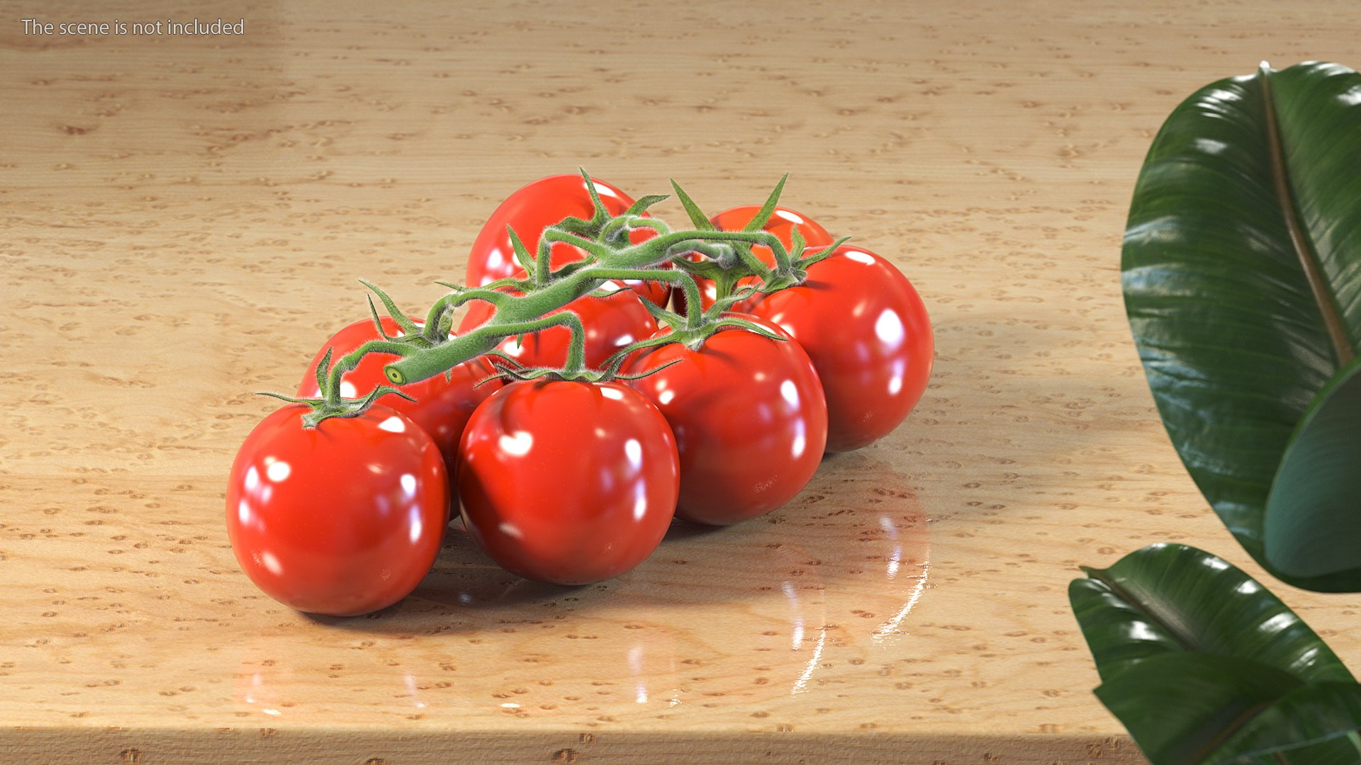 3D Fresh Cherry Tomatoes on the Vine Fur model https://p.turbosquid.com/ts-thumb/eB/6iEbtr/Af/freshcherrytomatoesonthevinefurmb3dmodel003/jpg/1640606673/1920x1080/fit_q87/6b5ad23fa83766470bc345b8cd9804b89faf6cc8/freshcherrytomatoesonthevinefurmb3dmodel003.jpg