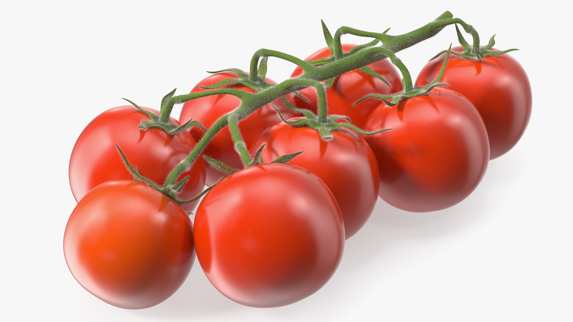 3D Fresh Cherry Tomatoes on the Vine Fur model https://p.turbosquid.com/ts-thumb/eB/6iEbtr/D0/freshcherrytomatoesonthevinefurmb3dmodel010/jpg/1640606693/1920x1080/fit_q87/fd5f1ce2f82ec9d4c1a25da17ae29641eb568a28/freshcherrytomatoesonthevinefurmb3dmodel010.jpg