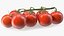 Fresh Cherry Tomatoes on the Vine Fur