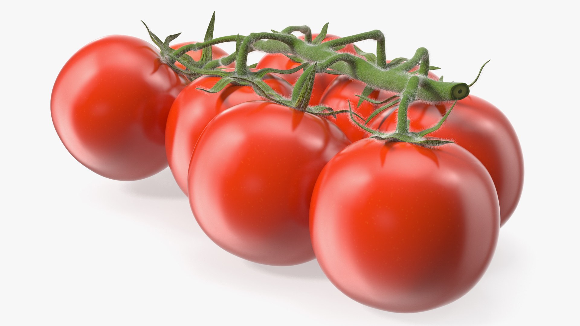 3D Fresh Cherry Tomatoes on the Vine Fur model https://p.turbosquid.com/ts-thumb/eB/6iEbtr/Nl/freshcherrytomatoesonthevinefurmb3dmodel008/jpg/1640606689/1920x1080/fit_q87/d36b4b2b212e6d121f6f6c54a7d077225b8ca5cb/freshcherrytomatoesonthevinefurmb3dmodel008.jpg
