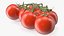 Fresh Cherry Tomatoes on the Vine Fur