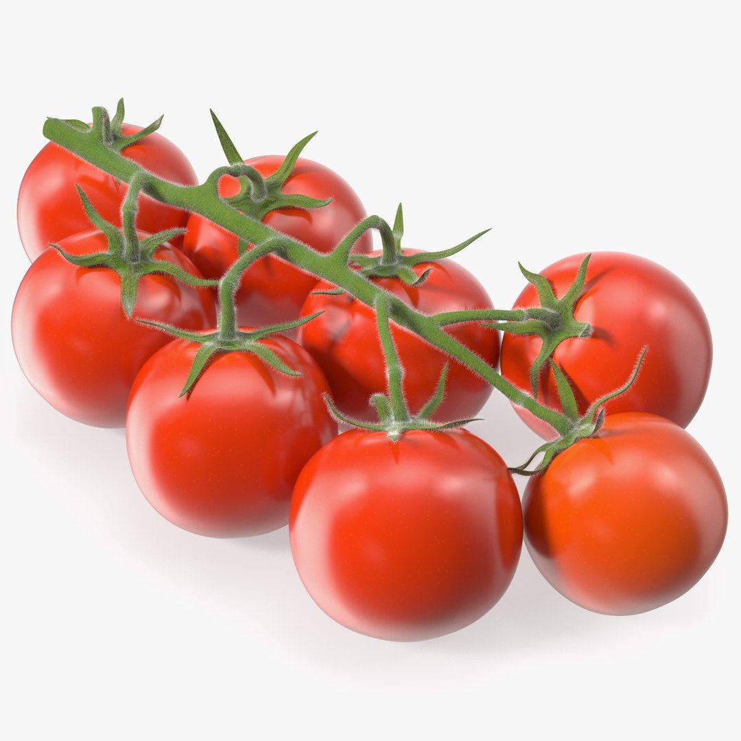 Fresh Cherry Tomatoes on the Vine Fur 3D model preview