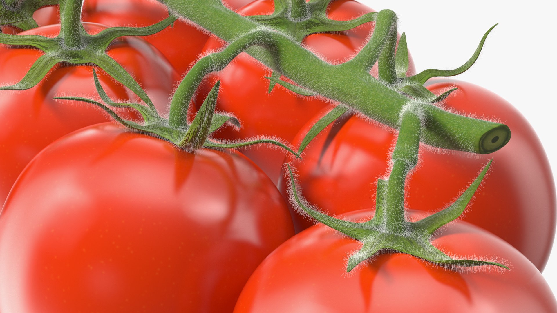 3D Fresh Cherry Tomatoes on the Vine Fur model https://p.turbosquid.com/ts-thumb/eB/6iEbtr/WF/freshcherrytomatoesonthevinefurmb3dmodel014/jpg/1640606705/1920x1080/fit_q87/d30b268fff2913ae927a5d389257821a6b18a5a9/freshcherrytomatoesonthevinefurmb3dmodel014.jpg