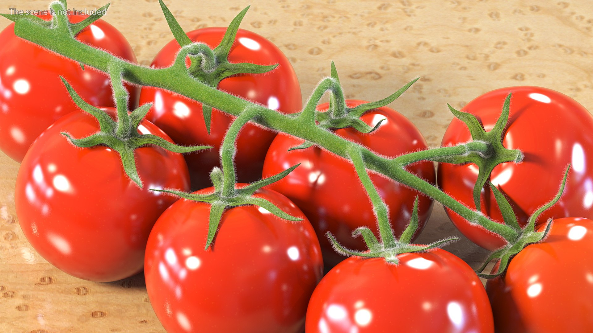 3D Fresh Cherry Tomatoes on the Vine Fur model https://p.turbosquid.com/ts-thumb/eB/6iEbtr/aI/freshcherrytomatoesonthevinefurmb3dmodel005/jpg/1640606679/1920x1080/fit_q87/ba3cb09897a189959c9cb6a900d1c432fa3de1c3/freshcherrytomatoesonthevinefurmb3dmodel005.jpg