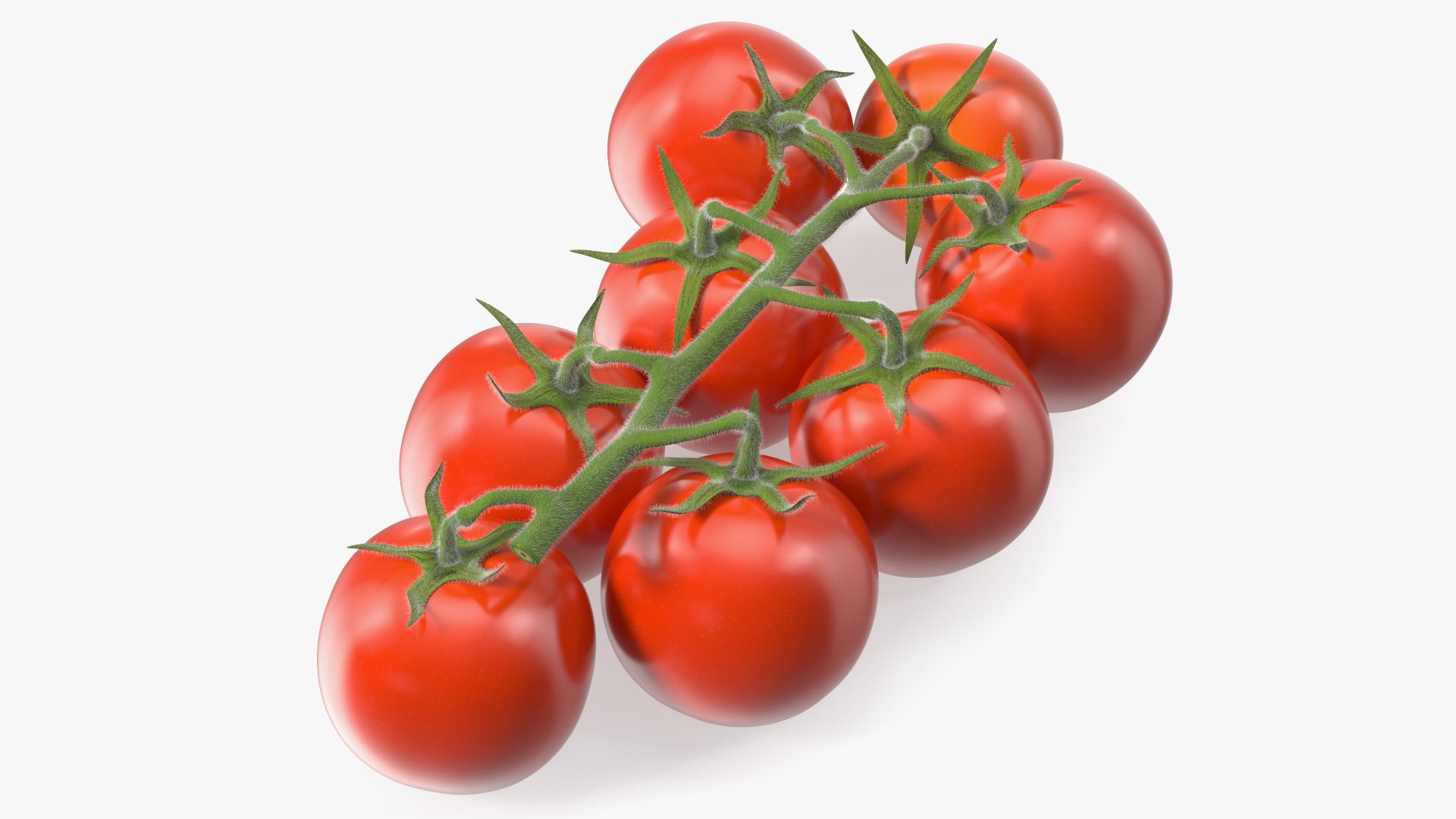 3D Fresh Cherry Tomatoes on the Vine Fur model https://p.turbosquid.com/ts-thumb/eB/6iEbtr/cj/freshcherrytomatoesonthevinefurmb3dmodel007/jpg/1640606686/1920x1080/fit_q87/39716af79de80daf49e9f02fae35171ad12ff619/freshcherrytomatoesonthevinefurmb3dmodel007.jpg