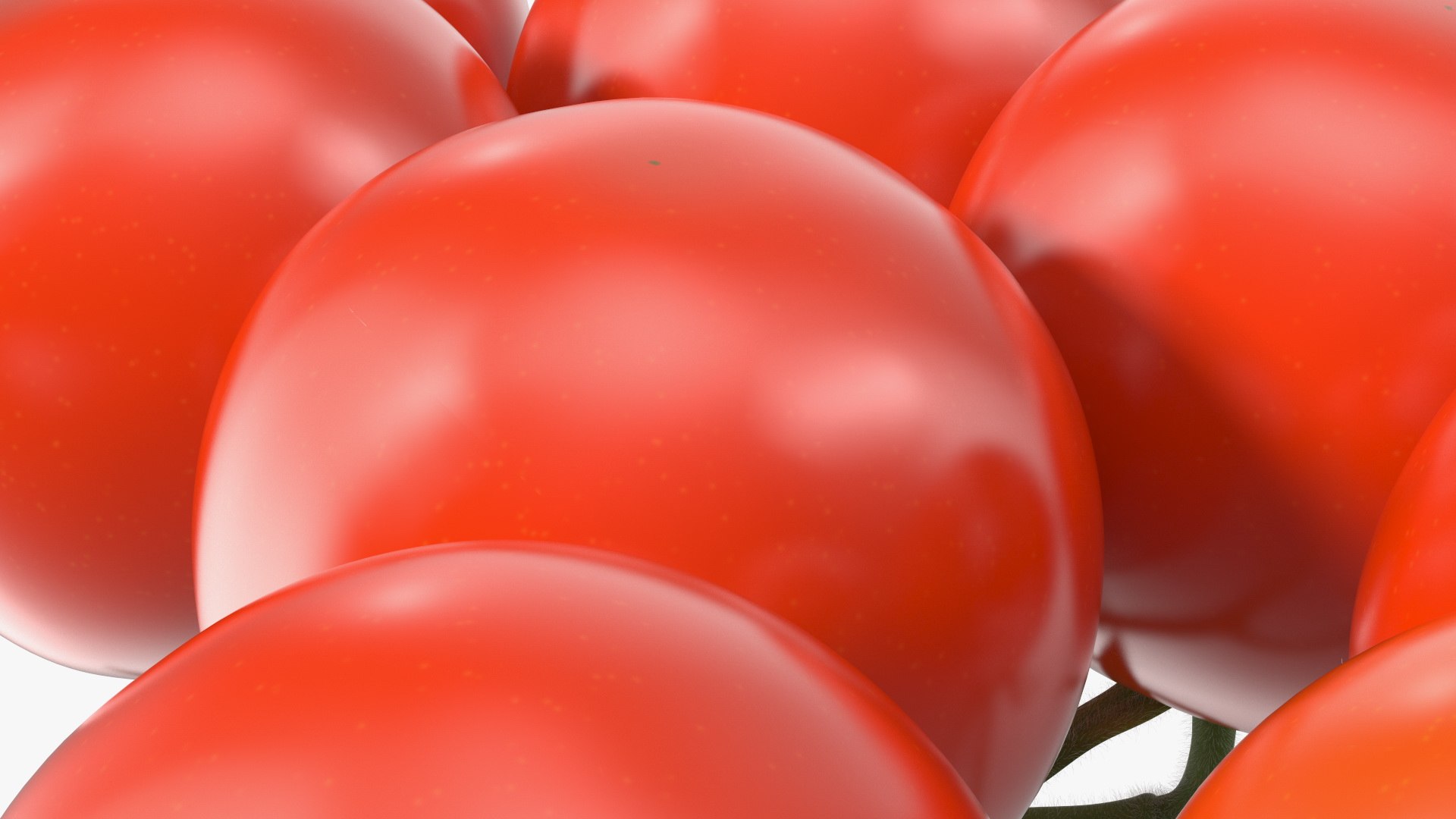 3D Fresh Cherry Tomatoes on the Vine Fur model https://p.turbosquid.com/ts-thumb/eB/6iEbtr/pI/freshcherrytomatoesonthevinefurmb3dmodel013/jpg/1640606702/1920x1080/fit_q87/19424500fce387628b57ed155ef3e4a421c40908/freshcherrytomatoesonthevinefurmb3dmodel013.jpg