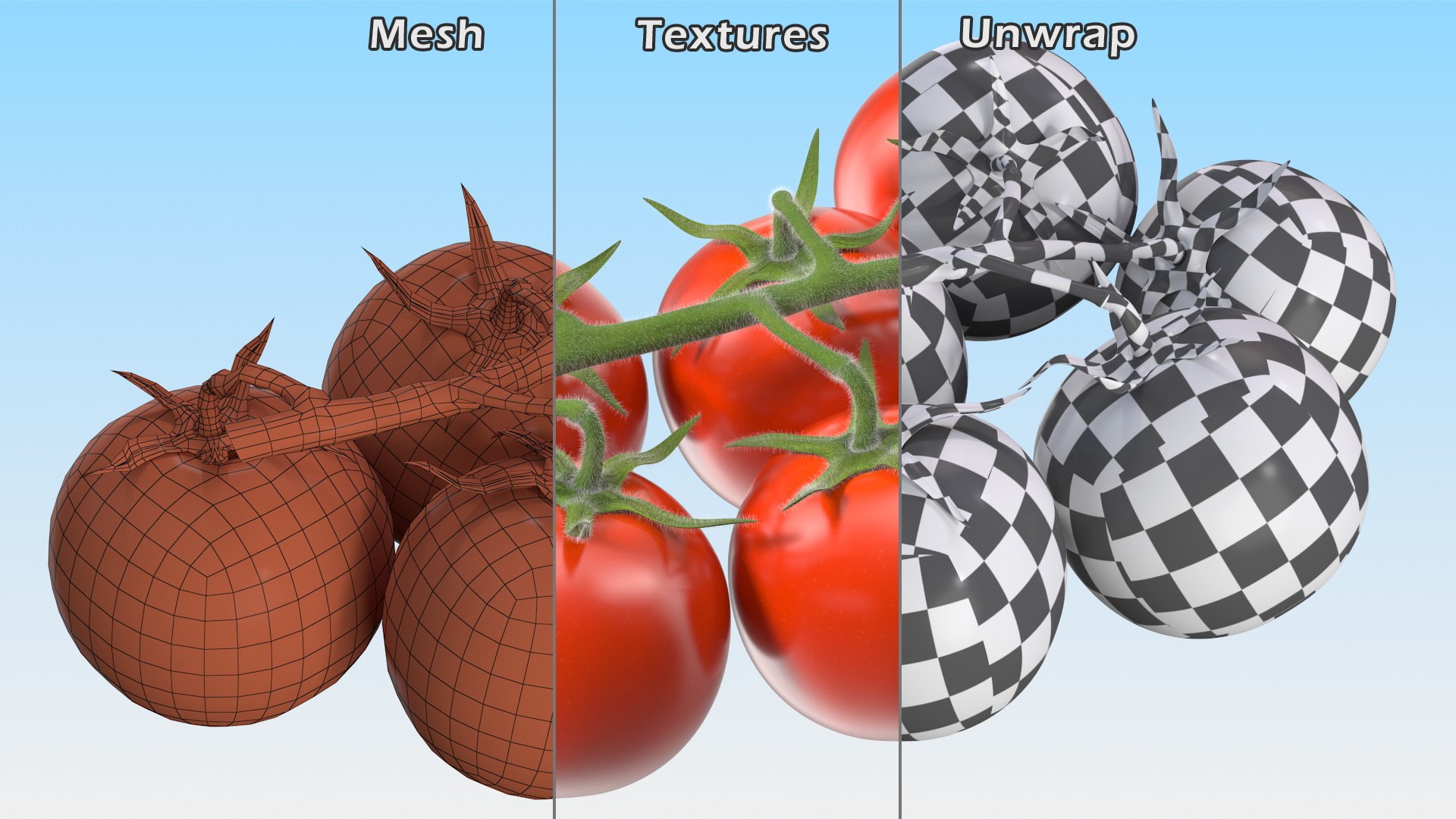 3D Fresh Cherry Tomatoes on the Vine Fur model https://p.turbosquid.com/ts-thumb/eB/6iEbtr/sg/freshcherrytomatoesonthevinefurmb3dmodel017/jpg/1640606715/1920x1080/fit_q87/d01438466e4e05f54a1b3d4c8485cfabc62de898/freshcherrytomatoesonthevinefurmb3dmodel017.jpg