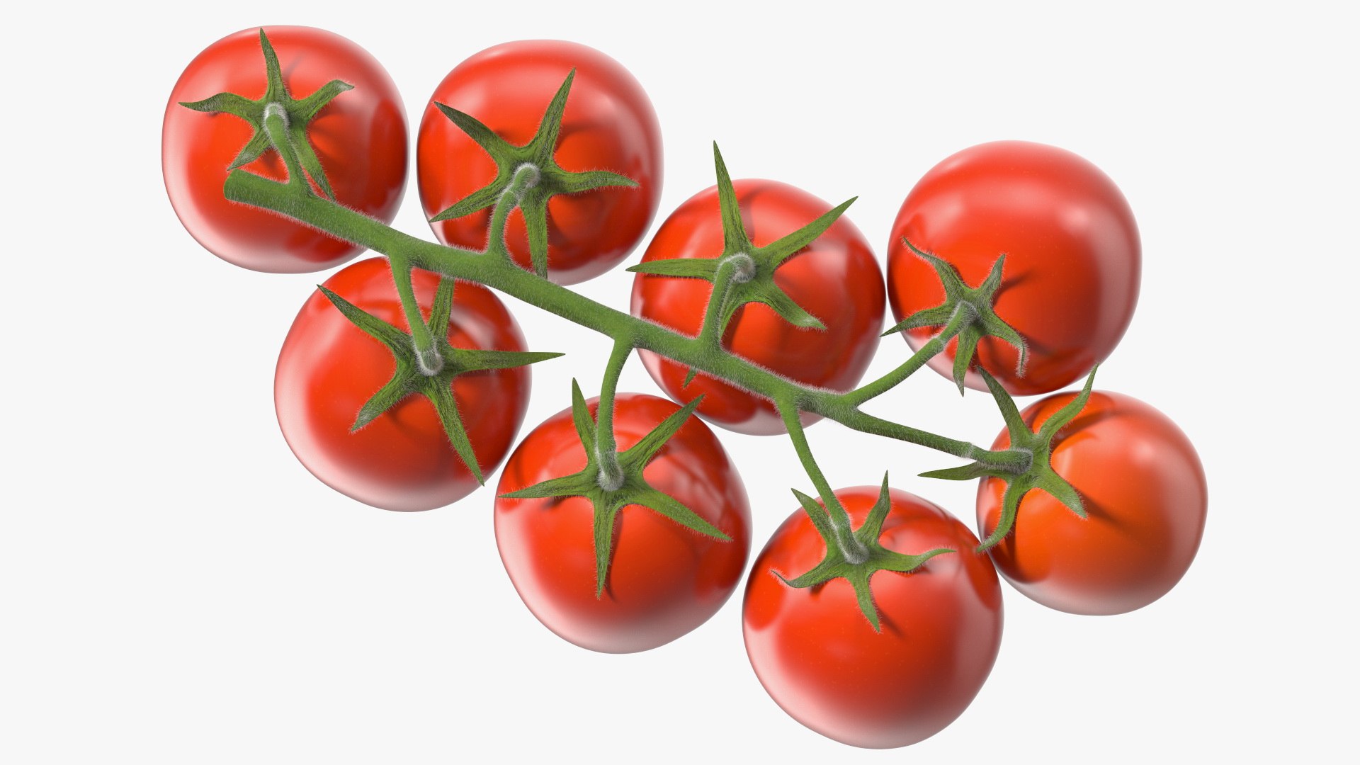 3D Fresh Cherry Tomatoes on the Vine Fur model https://p.turbosquid.com/ts-thumb/eB/6iEbtr/t8/freshcherrytomatoesonthevinefurmb3dmodel011/jpg/1640606696/1920x1080/fit_q87/c1a32201cb65b6747c31424821b5d4926855b66a/freshcherrytomatoesonthevinefurmb3dmodel011.jpg